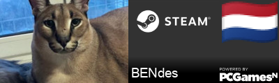 BENdes Steam Signature
