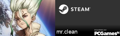mr.clean Steam Signature