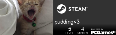 pudding<3 Steam Signature