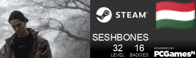 SESHBONES Steam Signature