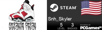 Snh_Skyler Steam Signature