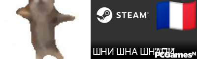 ШНИ ШНА ШНАПИ Steam Signature