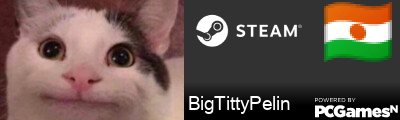 BigTittyPelin Steam Signature
