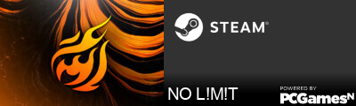 NO L!M!T Steam Signature