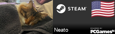 Neato Steam Signature
