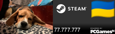 77.777.777 Steam Signature
