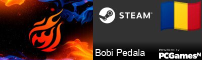 Bobi Pedala Steam Signature