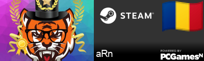 aRn Steam Signature