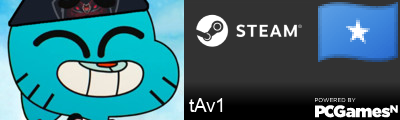 tAv1 Steam Signature