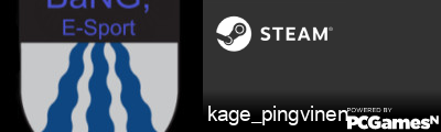 kage_pingvinen Steam Signature