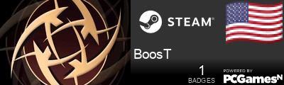 BoosT Steam Signature