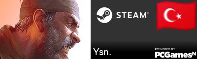 Ysn. Steam Signature