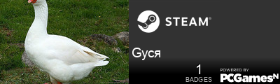 Gycя Steam Signature