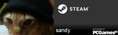 sandy Steam Signature