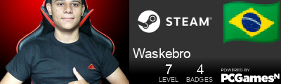 Waskebro Steam Signature