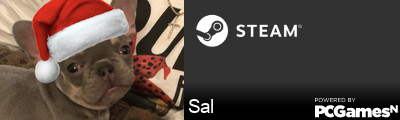 Sal Steam Signature