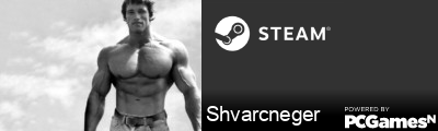 Shvarcneger Steam Signature