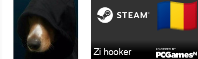 Zi hooker Steam Signature