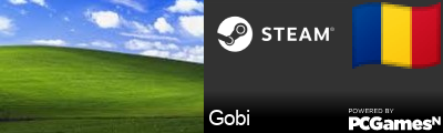 Gobi Steam Signature