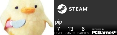 pip Steam Signature
