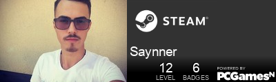 Saynner Steam Signature