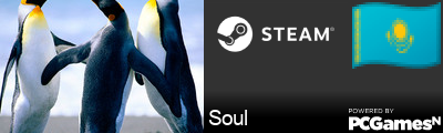 Soul Steam Signature