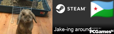 Jake-ing around Steam Signature
