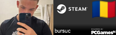 bursuc Steam Signature