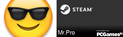 Mr.Pro Steam Signature