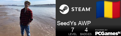SeedYs AWP Steam Signature