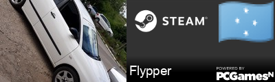 Flypper Steam Signature