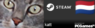 katt Steam Signature