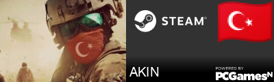 AKIN Steam Signature
