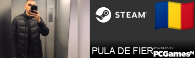 PULA DE FIER Steam Signature