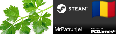 MrPatrunjel Steam Signature