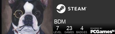 BDM Steam Signature