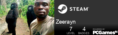 Zeerayn Steam Signature