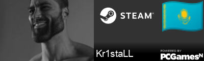 Kr1staLL Steam Signature