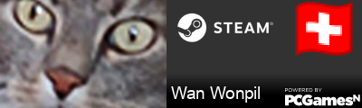 Wan Wonpil Steam Signature