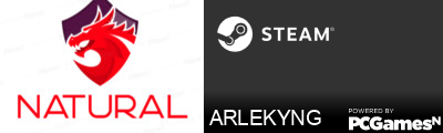 ARLEKYNG Steam Signature