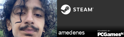 amedenes Steam Signature