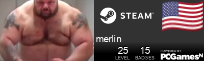 merlin Steam Signature