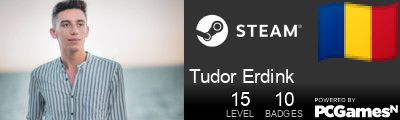 Tudor Erdink Steam Signature