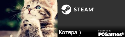 Котяра ) Steam Signature