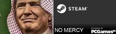 NO MERCY Steam Signature