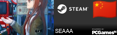 SEAAA Steam Signature