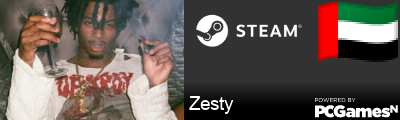 Zesty Steam Signature