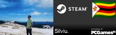 Silviu. Steam Signature