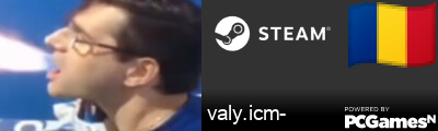 valy.icm- Steam Signature