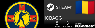 IOBAGG Steam Signature